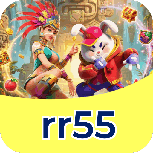Interface rr55